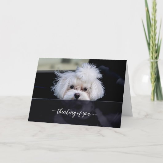 想いを贈る折り紙カード カード (正面)