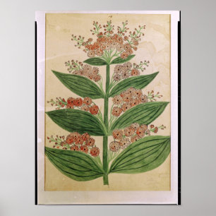 想像上の花を持つGentian ポスター