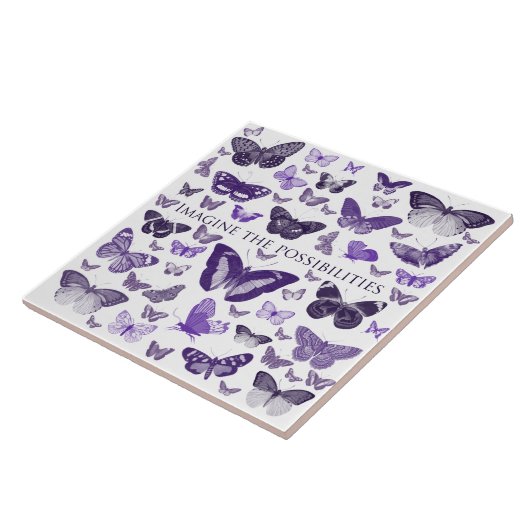 想像可能性 タイル (側面)