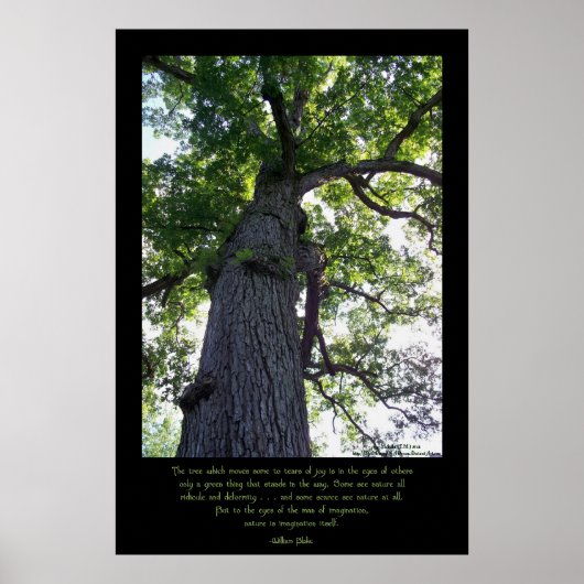 想像 ポスター (正面)