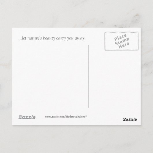 想像 ポストカード (裏面)