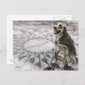 "想像""赤"いちご畑のゴールデン" ポストカード (正面/裏面)