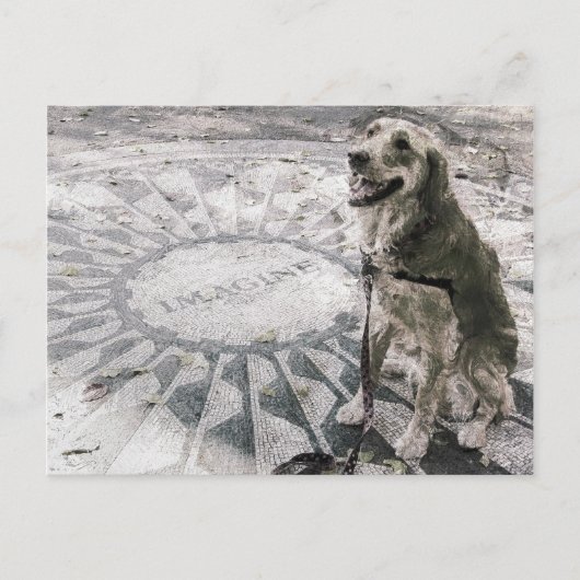 "想像""赤"いちご畑のゴールデン" ポストカード (正面)