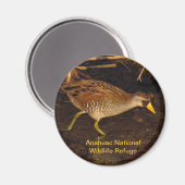 想羅 マグネット (正面/裏面)