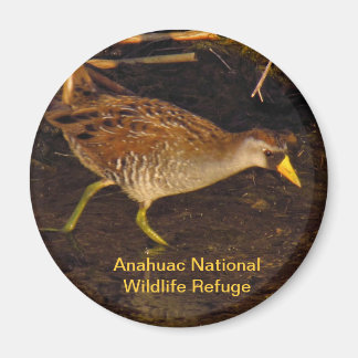 想羅 マグネット