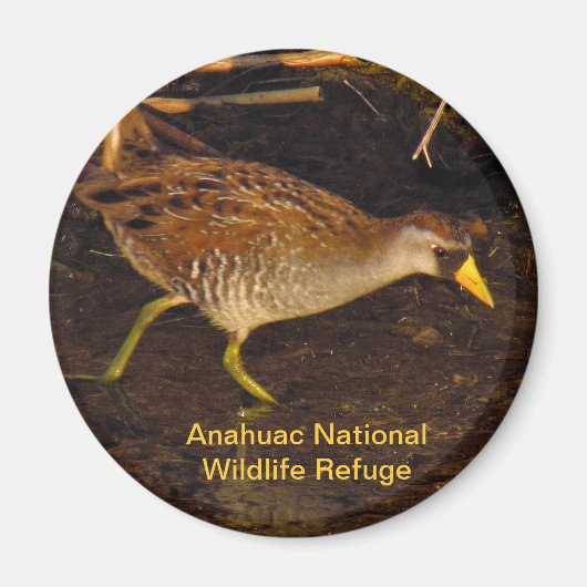 想羅 マグネット (正面)