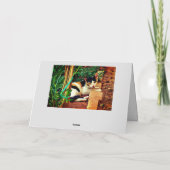 愉快な猫 カード (裏面)