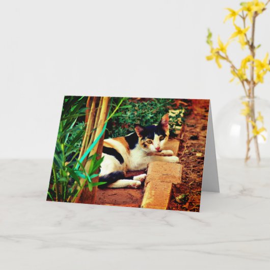 愉快な猫 カード (黄色い花)