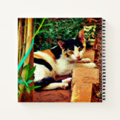 愉快な猫 ノートブック (裏面)