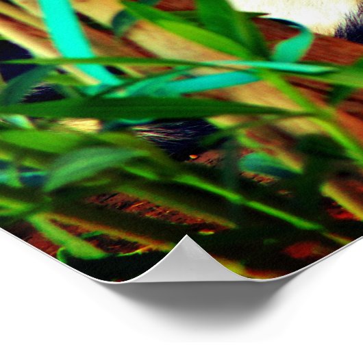 愉快な猫 ポスター (角)