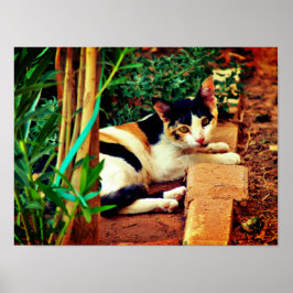 愉快な猫 ポスター