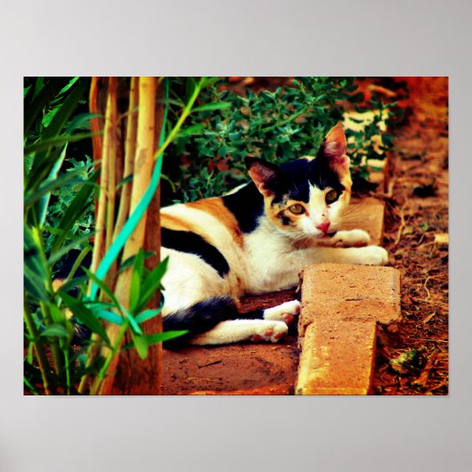 愉快な猫 ポスター (正面)