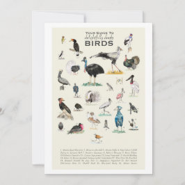 愉快な馬鹿鳥のギャラリー 5x7 カード