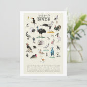 愉快な馬鹿鳥のギャラリー 5x7 カード (スタンド正面)