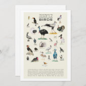 愉快な馬鹿鳥のギャラリー 5x7 カード (正面/裏面)