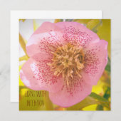 意思を持って生きる。ヘレボルス(レンテンバラ) (正面/裏面)