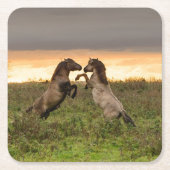意気揚々と歩く野生の馬のコースター スクエアペーパーコースター (正面)