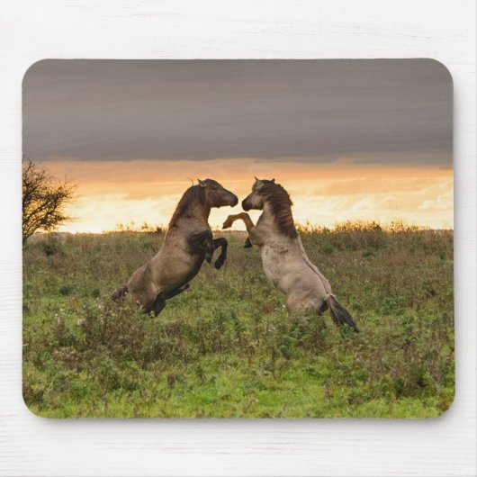 意気揚々と歩く野生の馬のmousepad マウスパッド (正面)