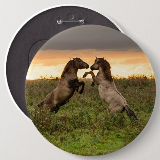 意気揚々と歩く野生の馬ボタン 缶バッジ (正面&裏面)
