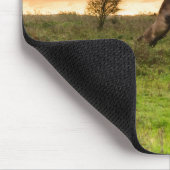 意気揚々と歩く馬のmousepad マウスパッド (コーナー)