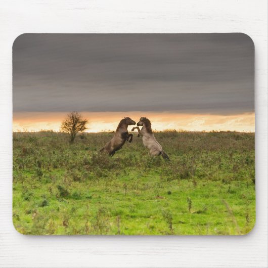 意気揚々と歩く馬のmousepad マウスパッド (正面)