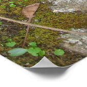 意識の流れ ポスター (角)