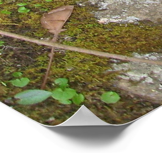 意識の流れ ポスター (角)