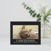 意識:昼寝間の迷惑な時間 ポストカード (スタンド正面)