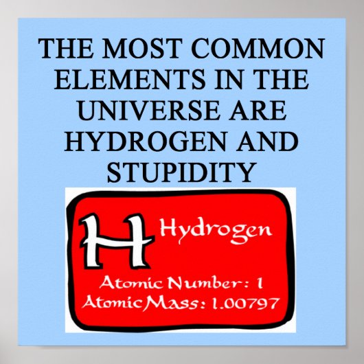 愚かさ ポスター (正面)