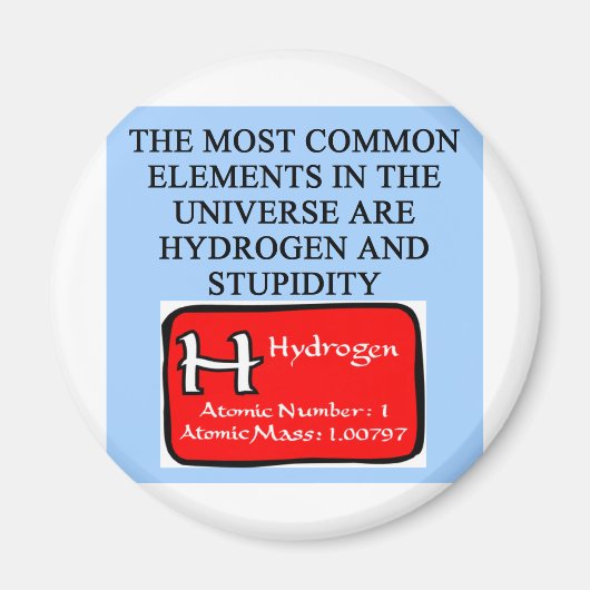 愚かさ マグネット (正面)