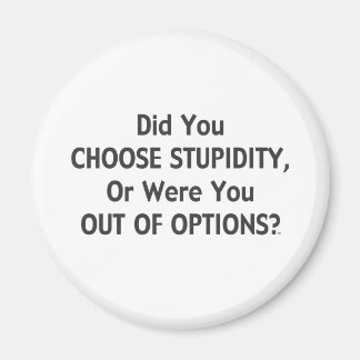 愚かなオプション1 マグネット