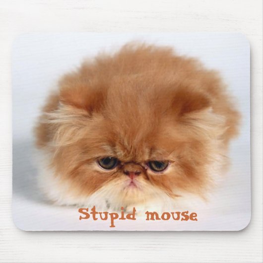 愚かなマウス マウスパッド (正面)