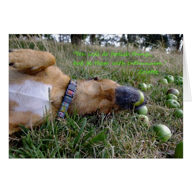 愚かな事 (正面横)