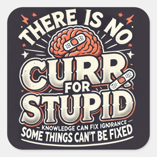 愚かな人に対する治療法がない スクエアシール (正面)