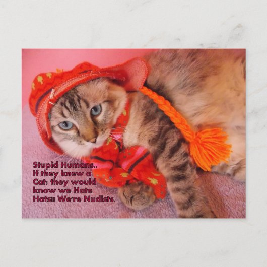 愚かな人間のユーモアのはがき ポストカード (正面)