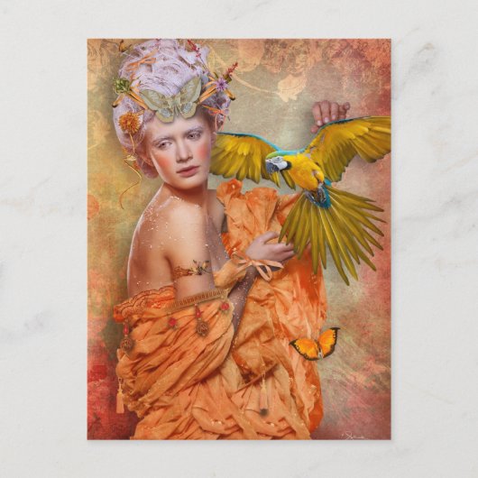 愚かな女の子ポストカード ポストカード (正面)