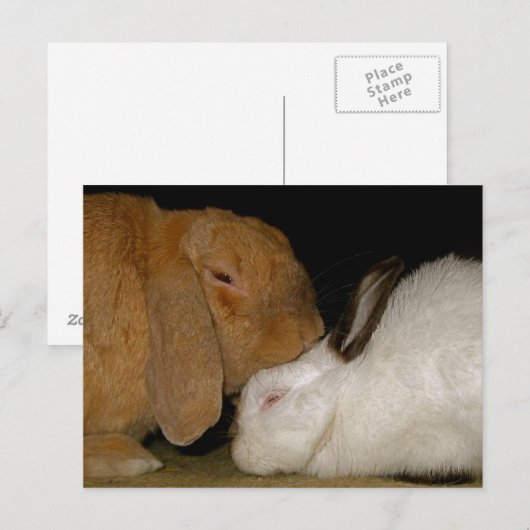 愚かな愛 ポストカード (正面/裏面)