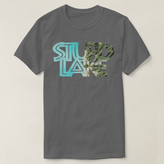 愚かな湖 Tシャツ (デザイン正面)