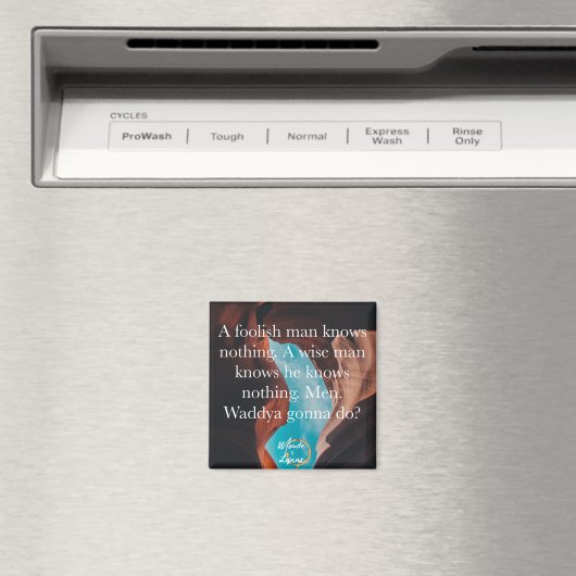 愚かな男の磁石 マグネット (インサイチュ (食洗機))
