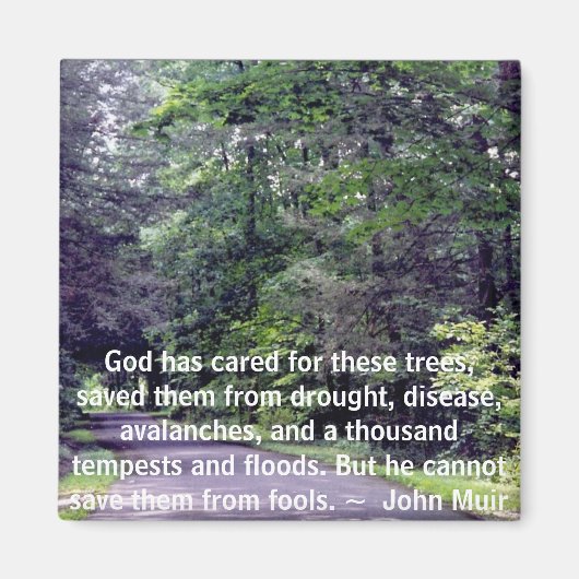 愚か救者から私たち – 磁石 (正面)