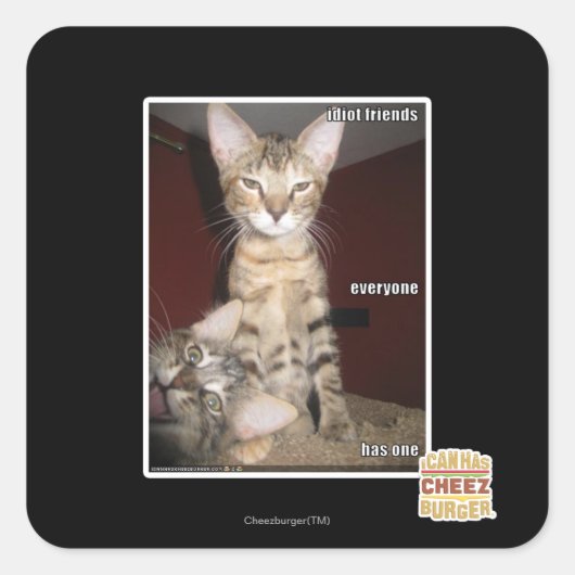 愚か者の友達 スクエアシール (正面)