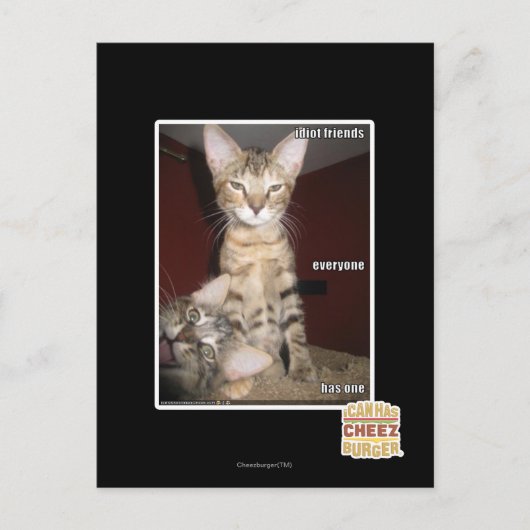 愚か者の友達 ポストカード (正面)