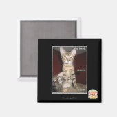 愚か者の友達 マグネット (正面/裏面)