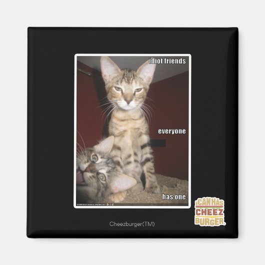 愚か者の友達 マグネット (正面)