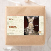 愚か者の友達 ラベル (インサイチュ)