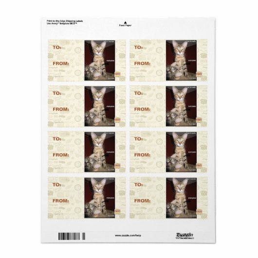 愚か者の友達 ラベル (フルシート)