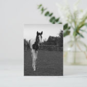 愚か者 ポストカード (スタンド正面)