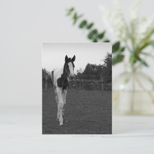 愚か者 ポストカード (スタンド正面)