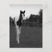 愚か者 ポストカード (正面)