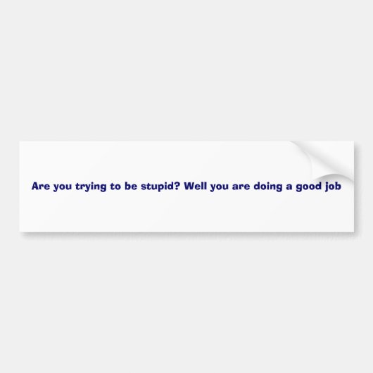 愚か バンパーステッカー (正面)